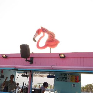 Discount Dirty Flamingo Gallery (1)